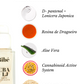 KIT CBA: SÉRUM RESTAURADOR + TRATAMENTO LÍQUIDO